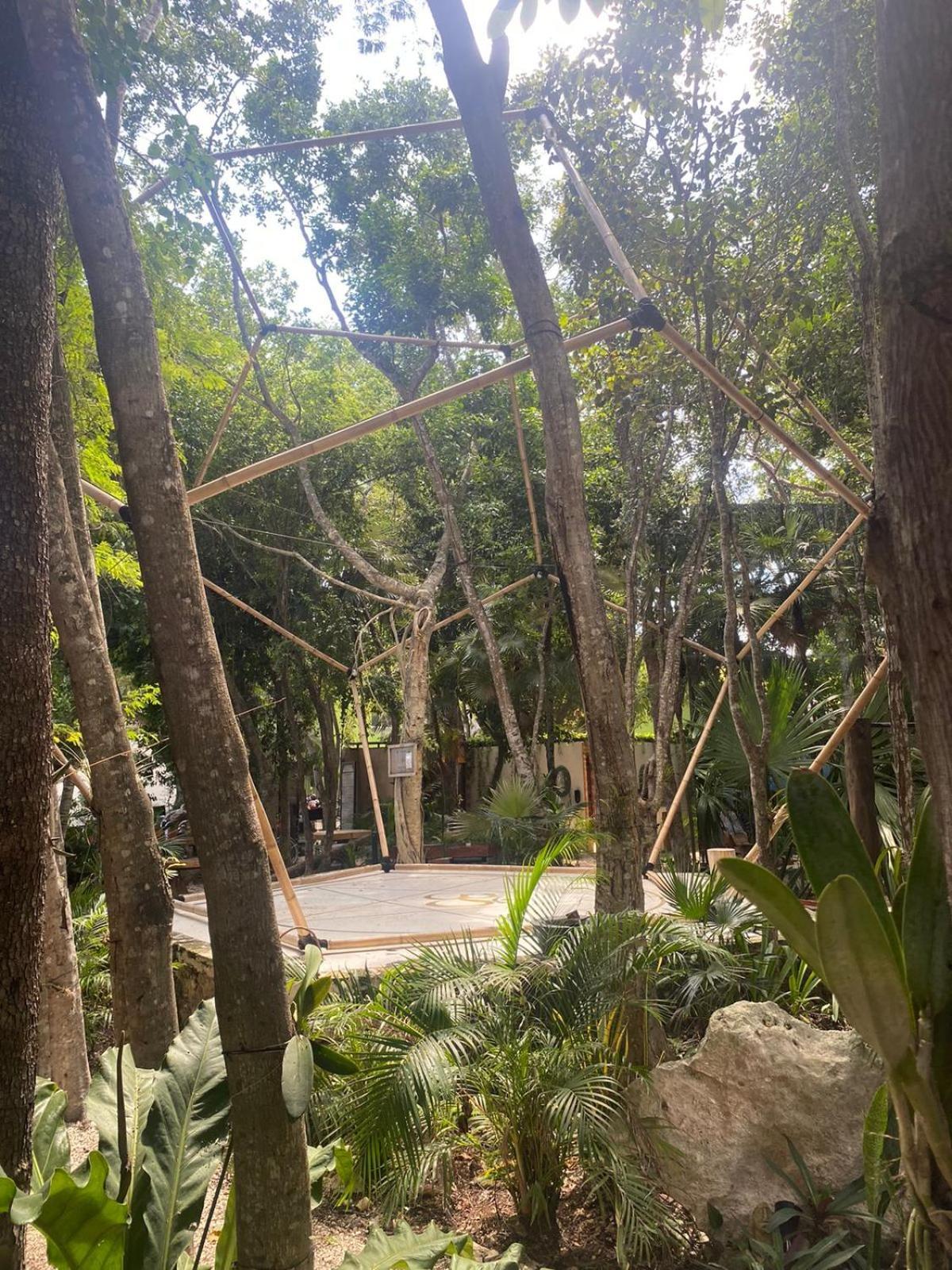 Bufo Alvarius Tulum Exterior foto