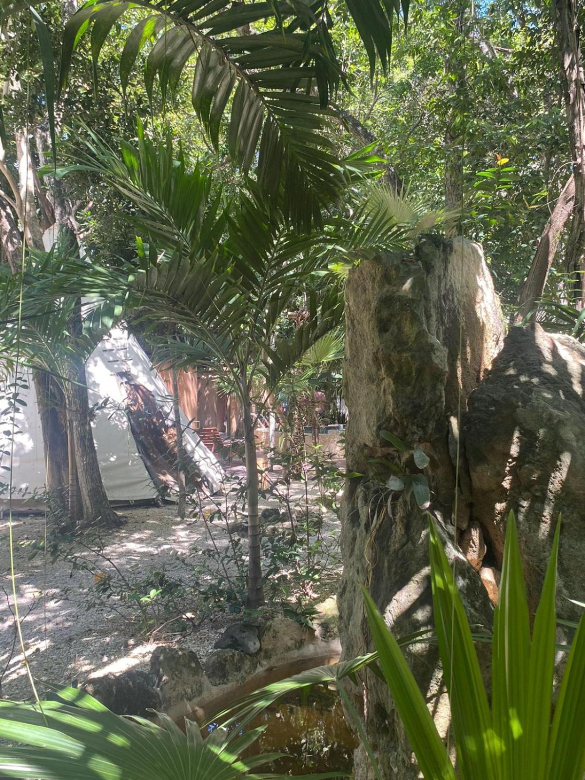 Bufo Alvarius Tulum Exterior foto