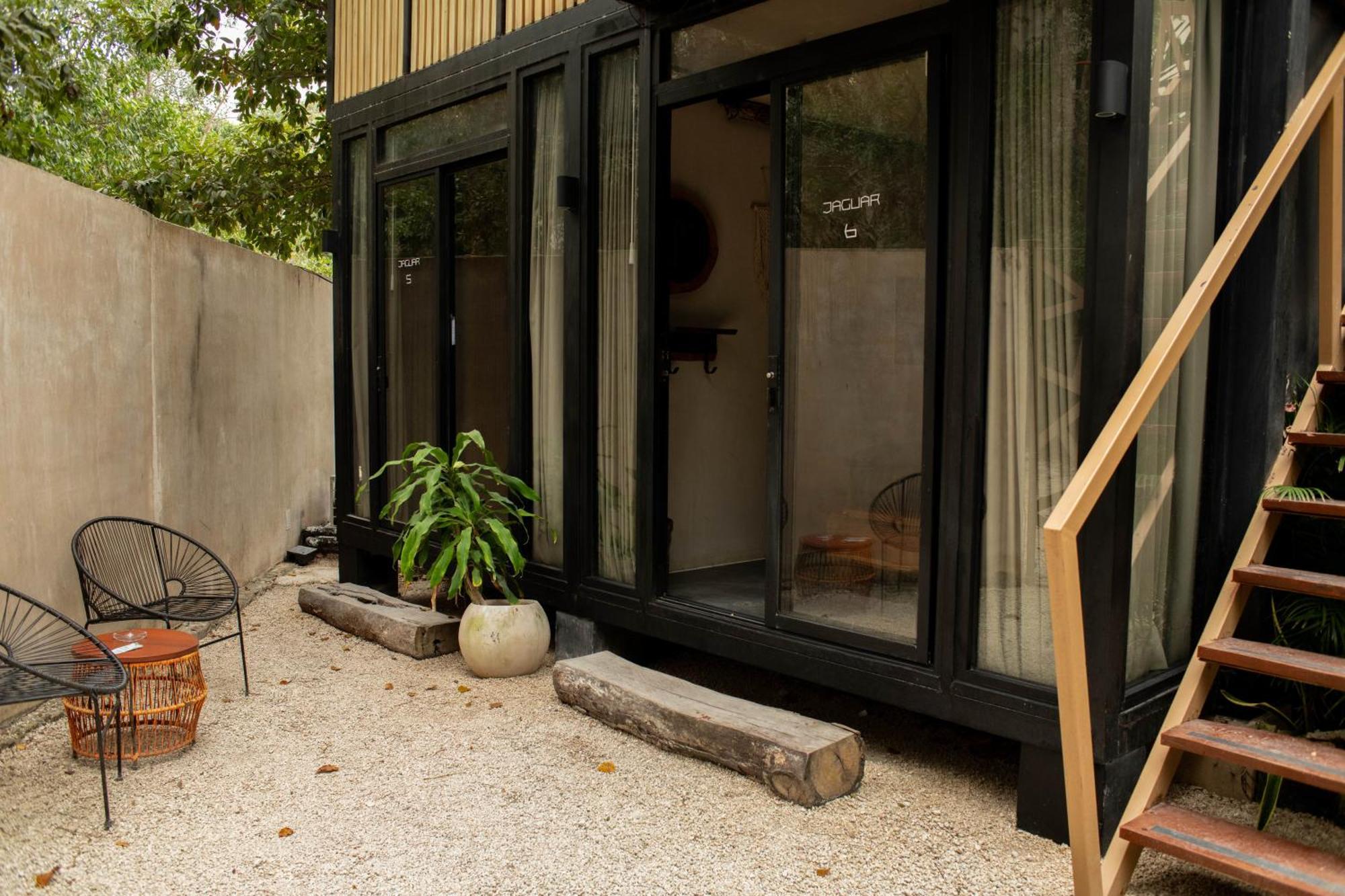 Bufo Alvarius Tulum Exterior foto