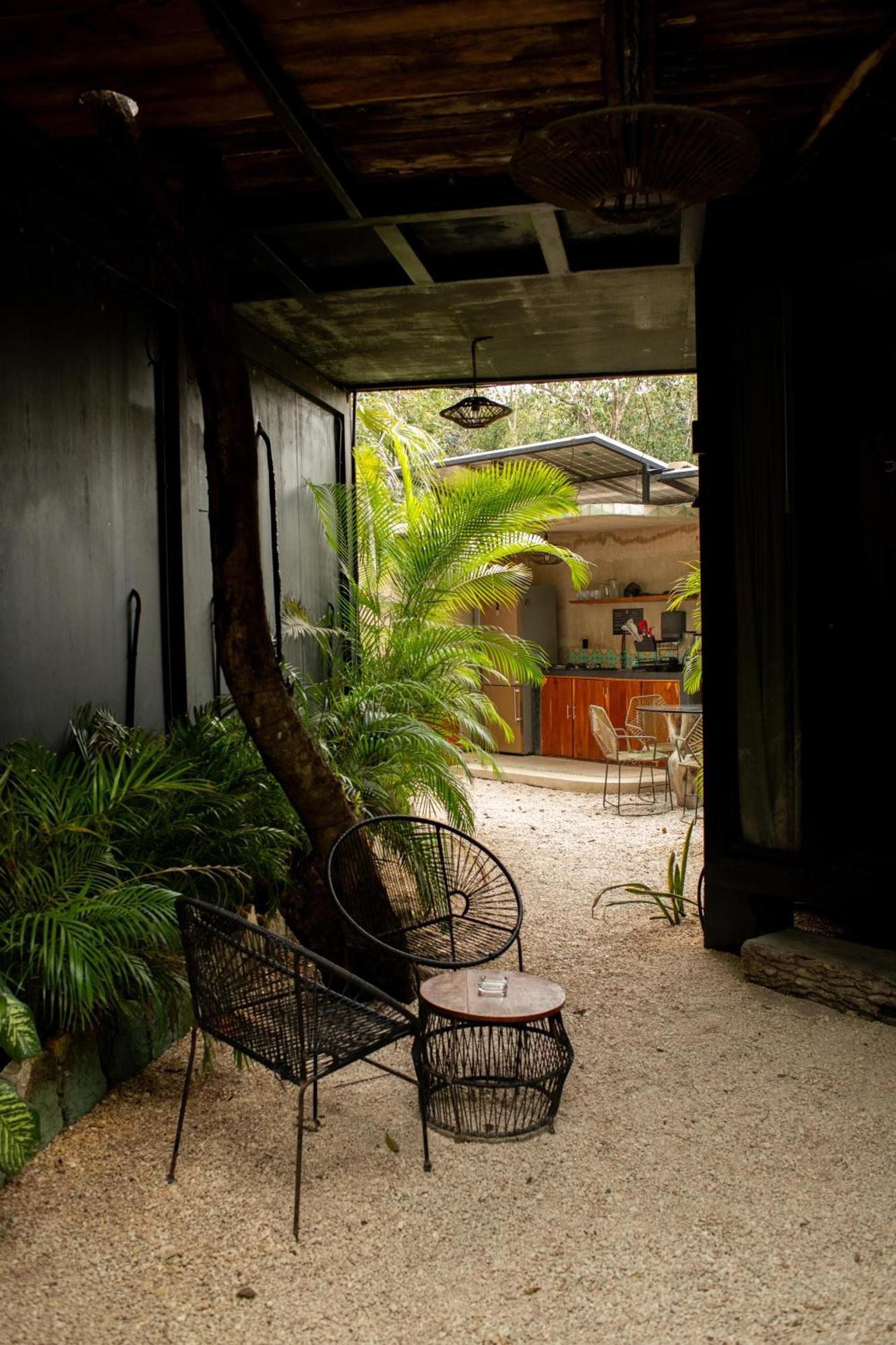 Bufo Alvarius Tulum Exterior foto