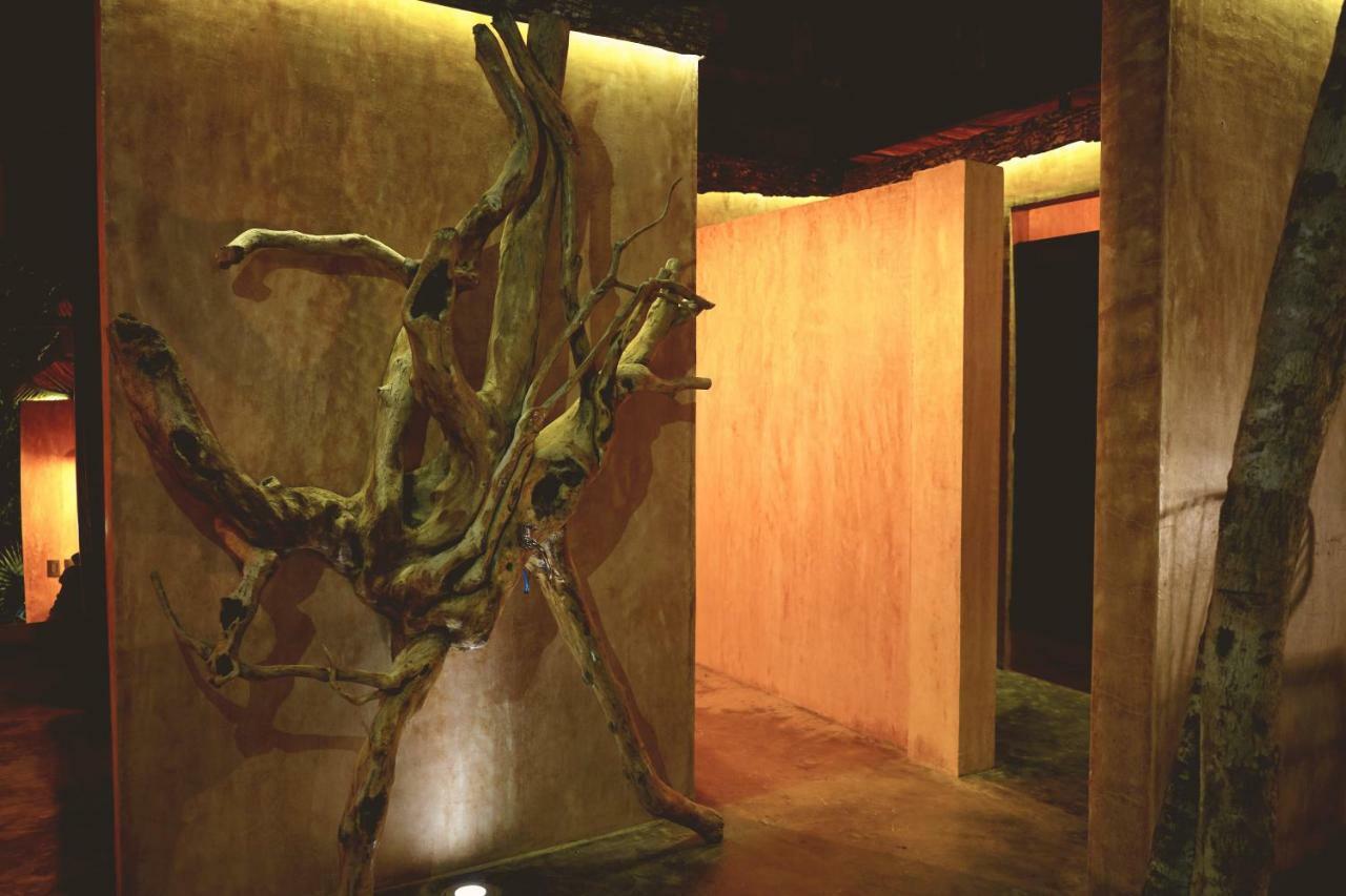 Bufo Alvarius Tulum Exterior foto
